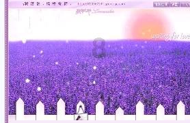 细胞分裂5