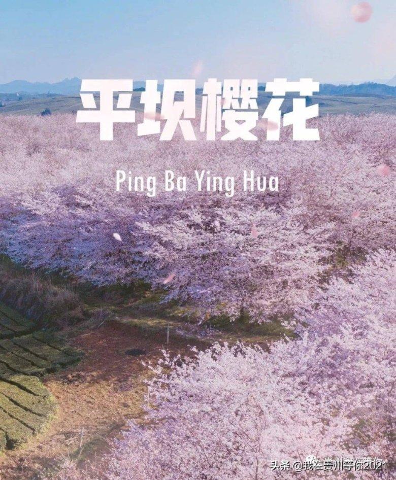 超三国无双4