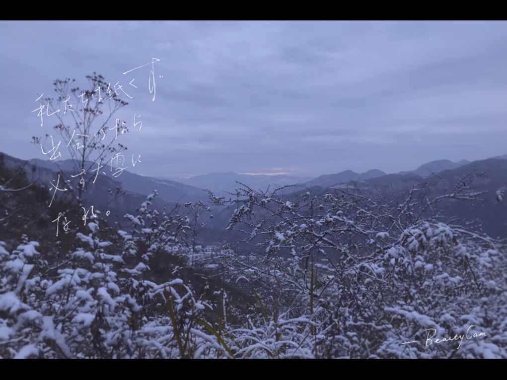 喜迎龙年新春 泼墨沽河两岸——青岛市首届沽河杯迎新春书画联展成功举行