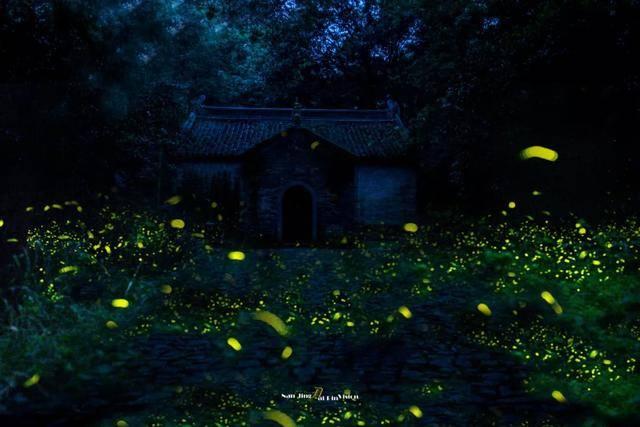 魔兽世界