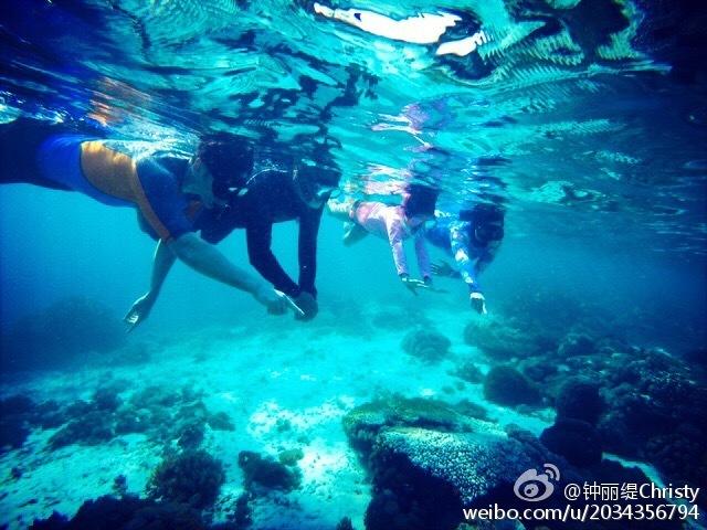 僵尸女友爱爬树