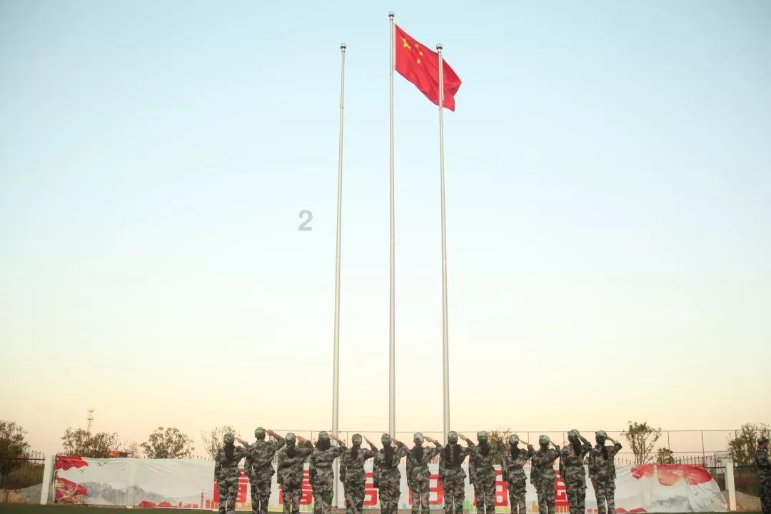 饥饿的松鼠救援