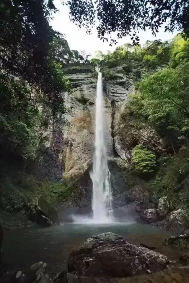 春雨直播app